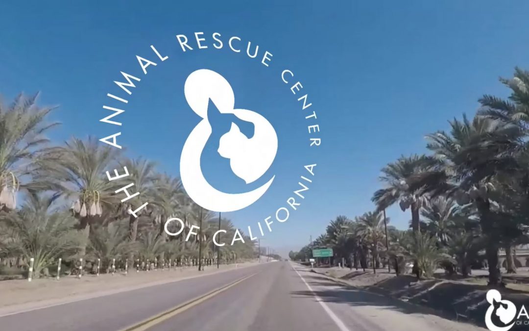 The Animal Rescue Center Of California
